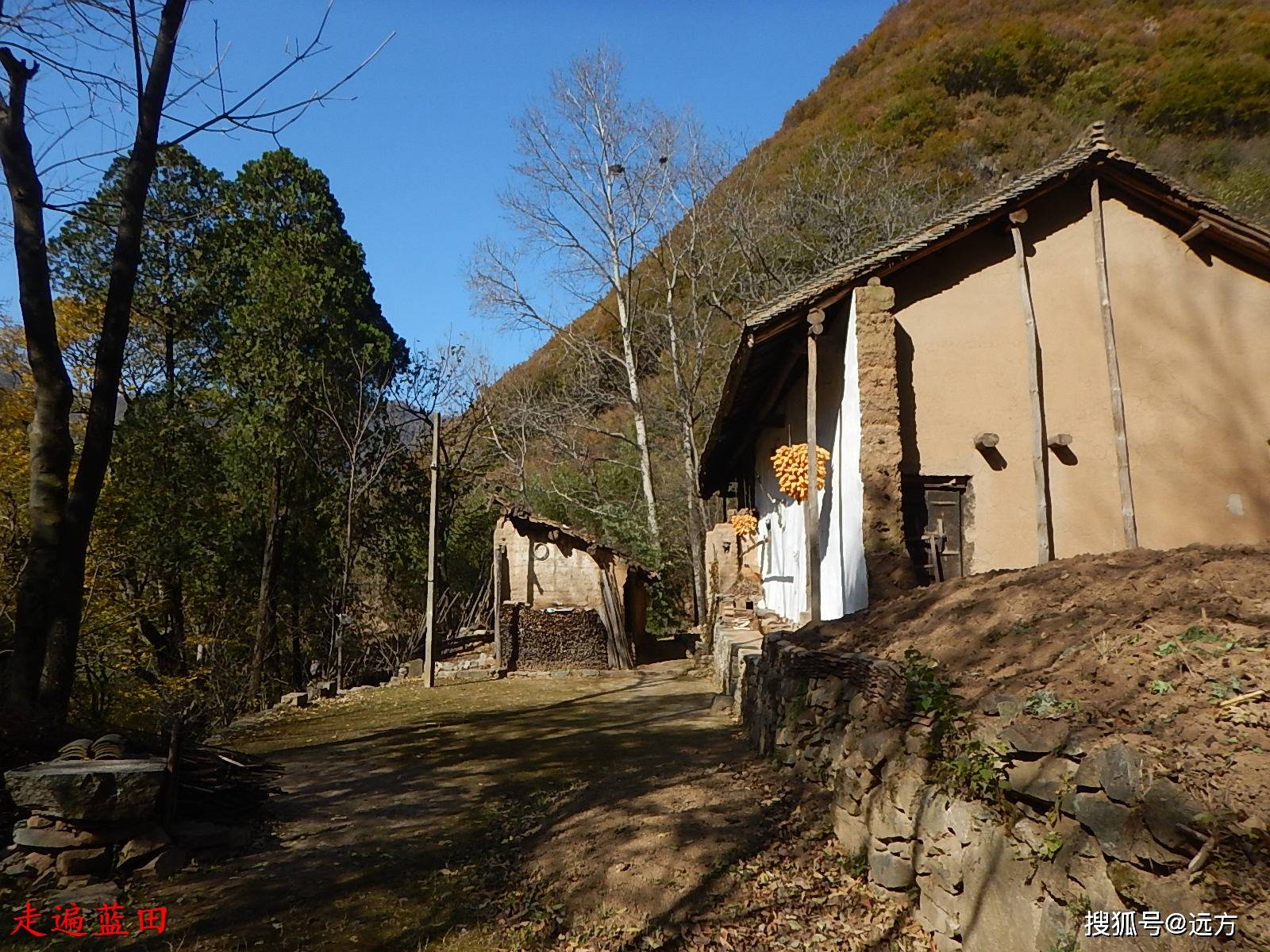 走遍藍田2020輞川鎮大坪村穿越旅行3