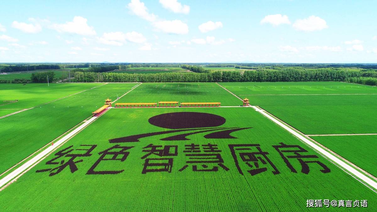 二九〇小传——天蓝,水清,土肥,米香是二九〇农场醉美的自然名片