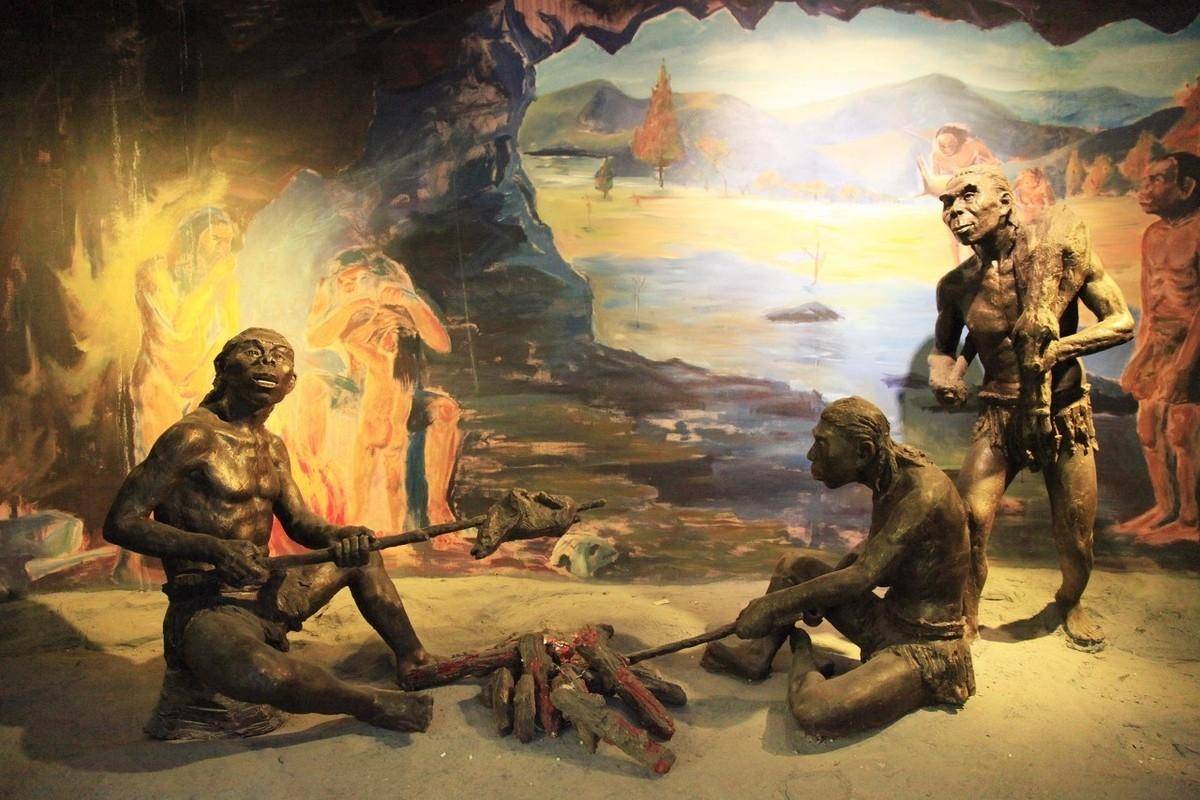 人类进化史也是一部灭绝史北京猿人惨遭屠杀还被当成食物