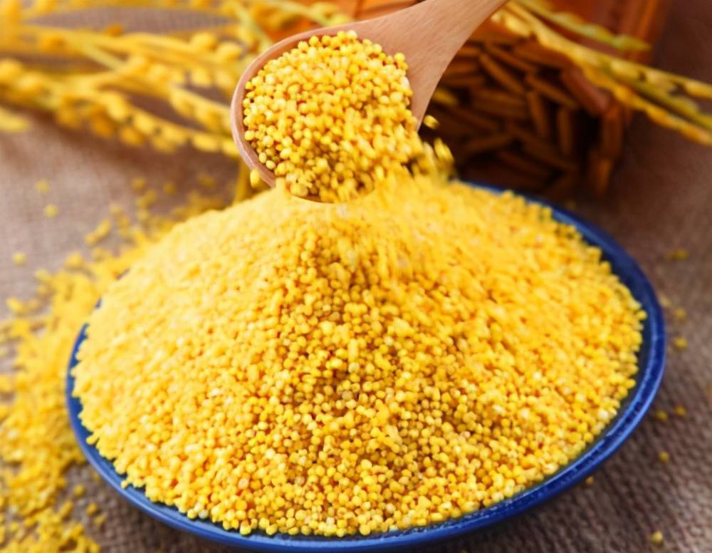 一年一季新小米,绿色无污染,保留粮食原始味道,无添加剂,吃得放心,用