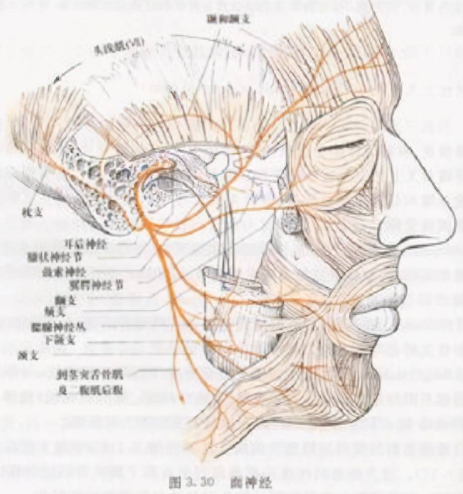 面神经痉挛 来自搜狐网