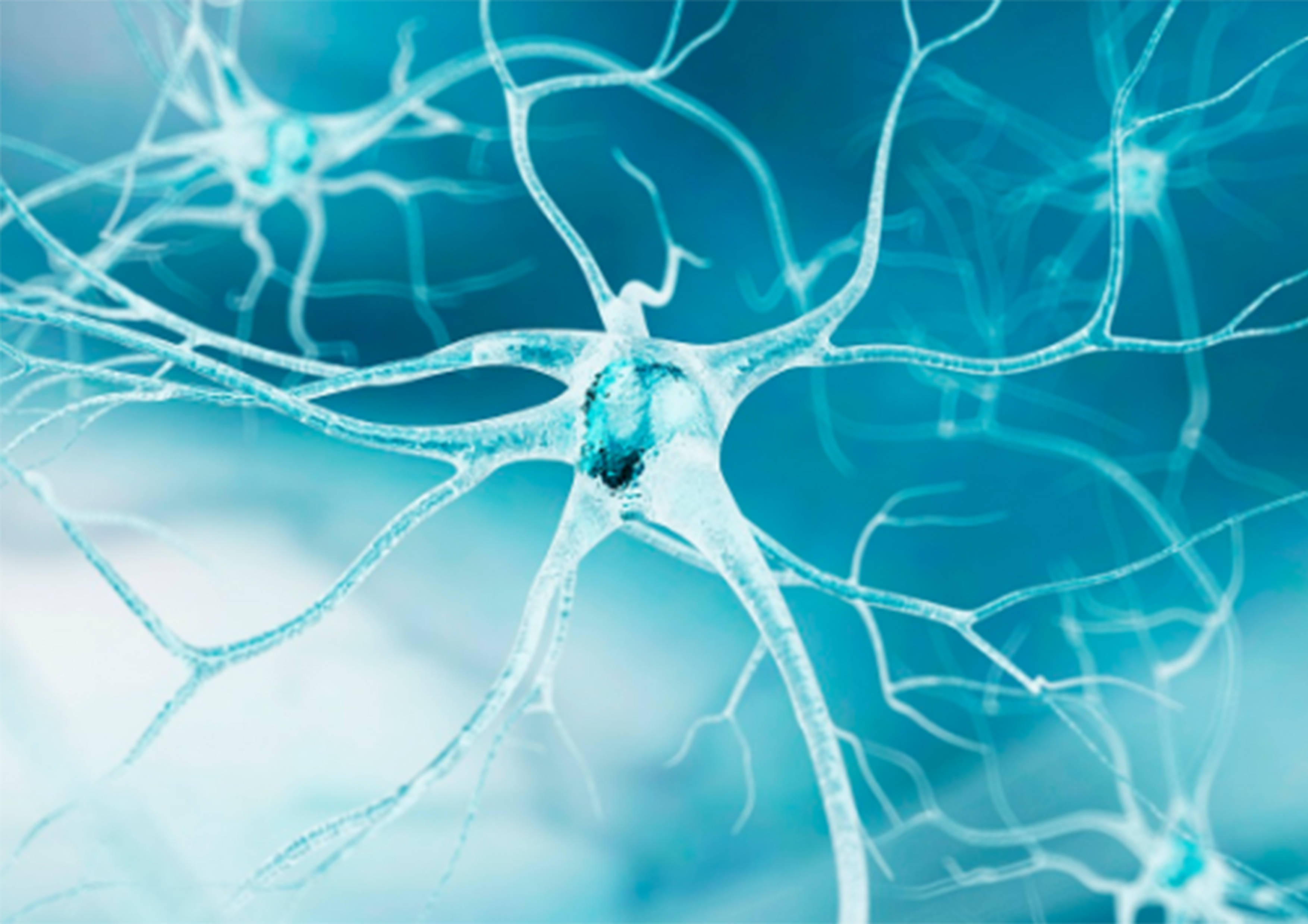 北京格林巴利刘泉鹏教授:格林巴利患者的饮食注意护理都有哪些?