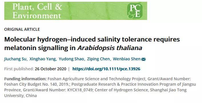 pce南农沈文飚:nmt发现内源氢提升质子泵及na-h逆向转运体活性促植物