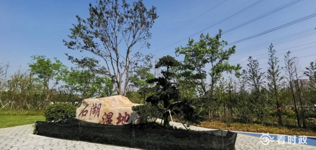 蘇州人休閒健身又多好去處運河姑蘇區核心段步道全線貫通