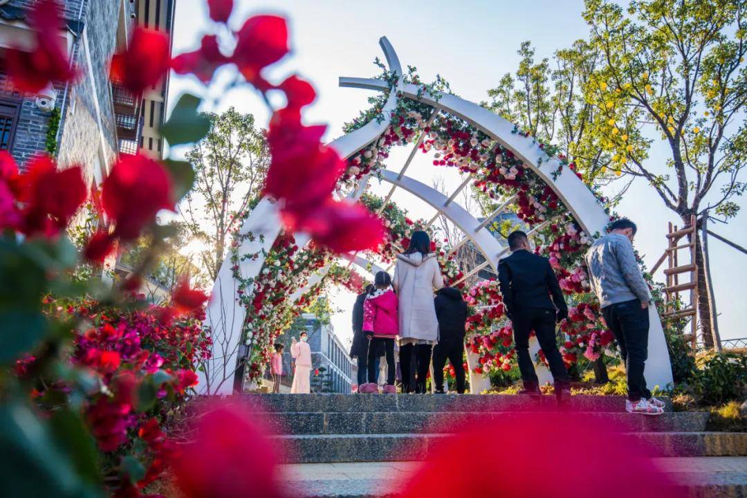 国内首屈一指的鲜花特色小镇,并且打造全年不间断的特色文化活动,如