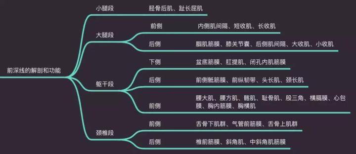 但是它是我们重要的内核心肌肉(骨盆底肌,腹横肌,多裂肌,膈肌);它因为