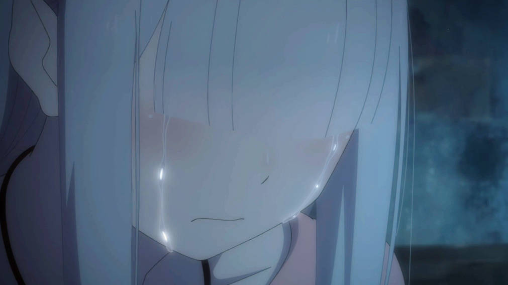 在《re:从零开始的异世界生活》第一季"王选篇"