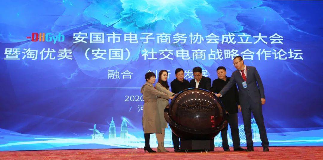 安国市电子商务协会成立