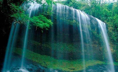 景致记录：庐山有一组瀑布群，其中之一就是李白诗中出现的瀑布
