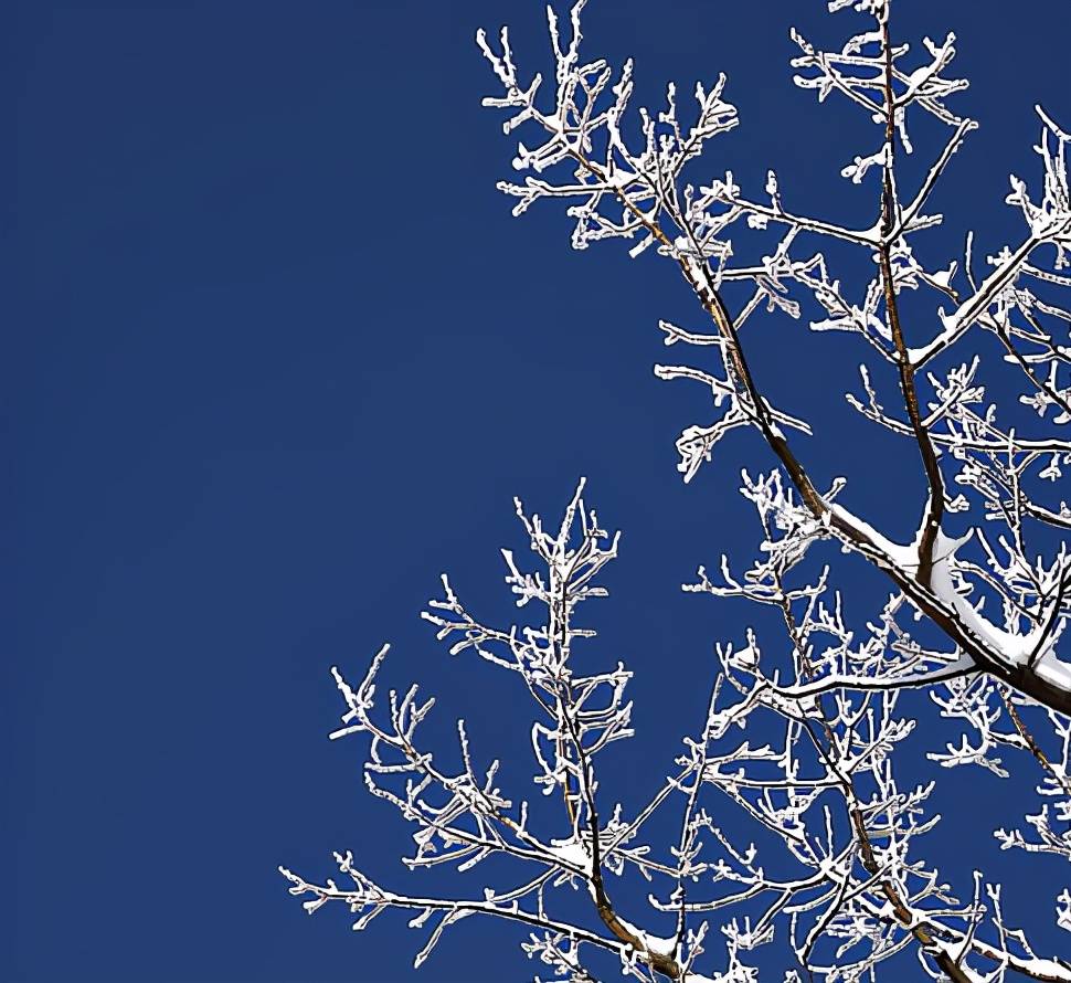 为什么过去的冬天,总让人如此怀念?那些发生在严冬里的温暖往事