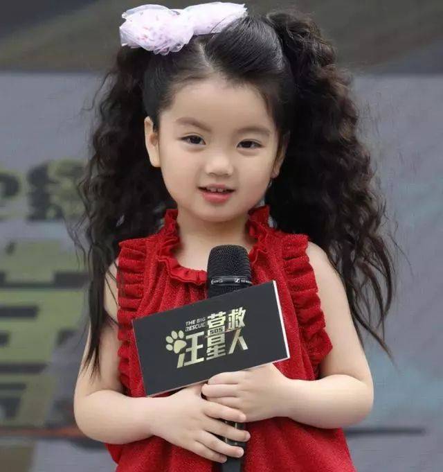 要问《爸爸去哪儿》最有代表性的人物是谁,一些观众可能就毫不犹豫地