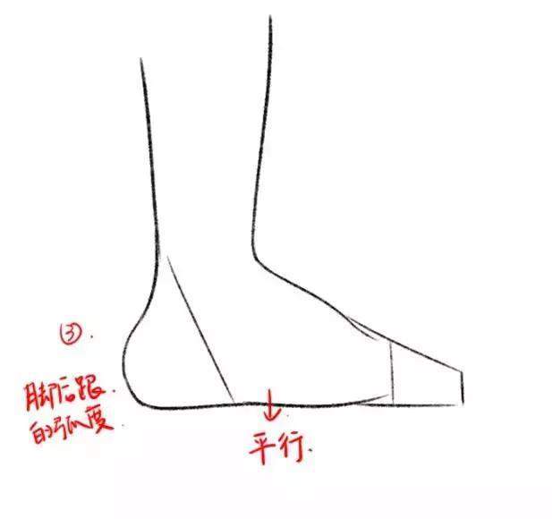 板绘|人物脚部结构参考绘画