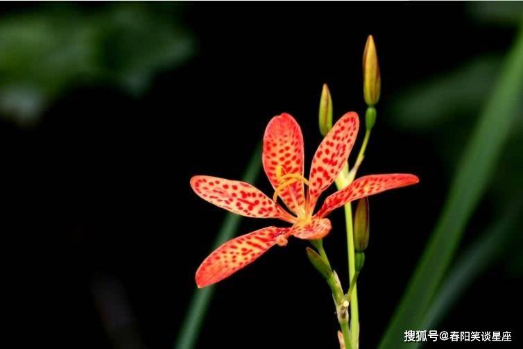 1月28號起財運順風順水好運連連日子越來越好的星座