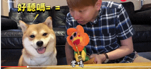 505_231gif 动态图 动图
