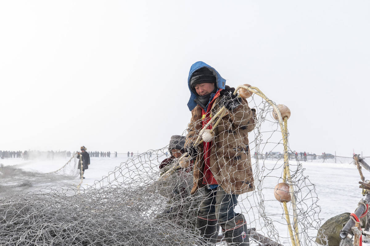 零下30度的湖面“热”起来：1条头鱼卖出296万元，啥情况