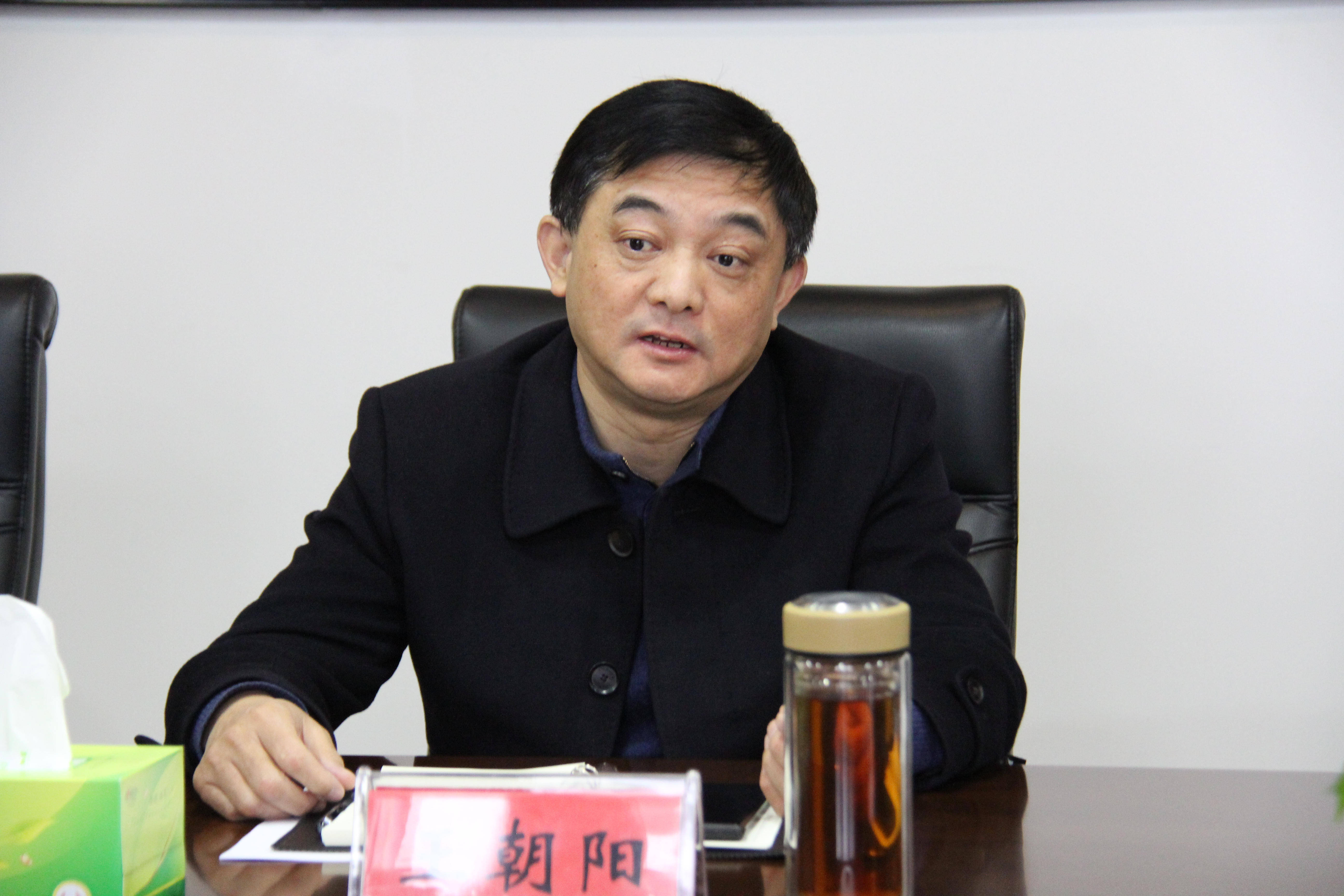 王朝阳汇报检察工作情况