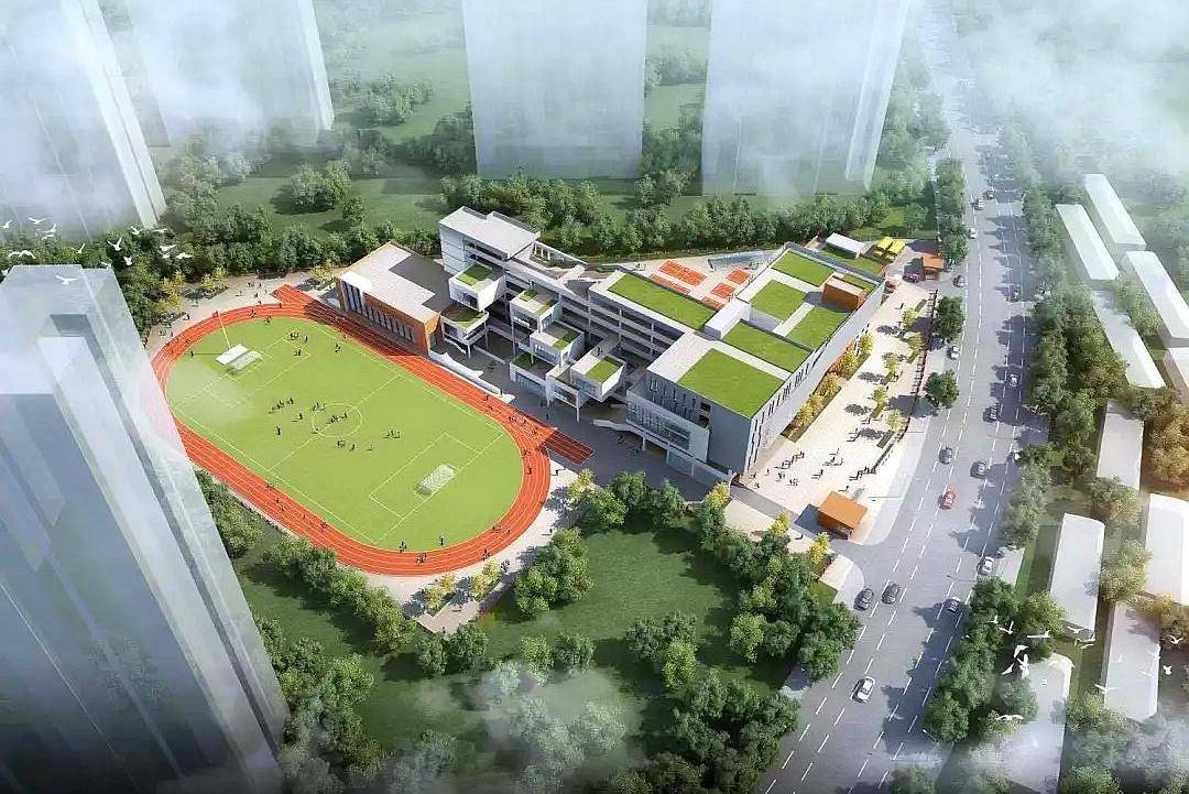 位于四新地区的学校分别是:位于梅子南街以北,梅子东路以东的国博三小