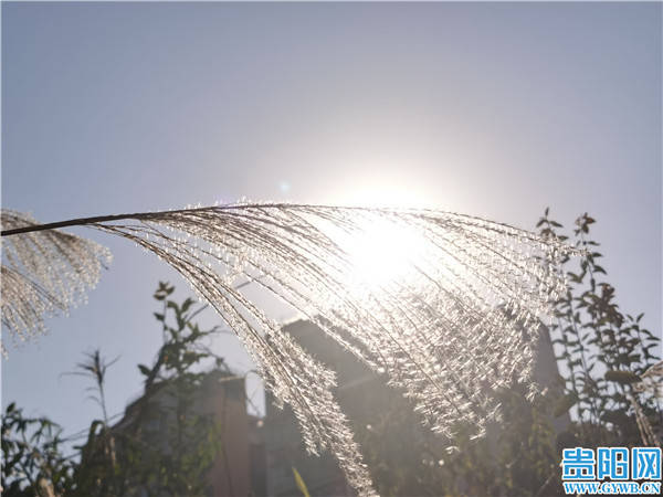 图集贵阳雪后晴天一起晒晒太阳吧