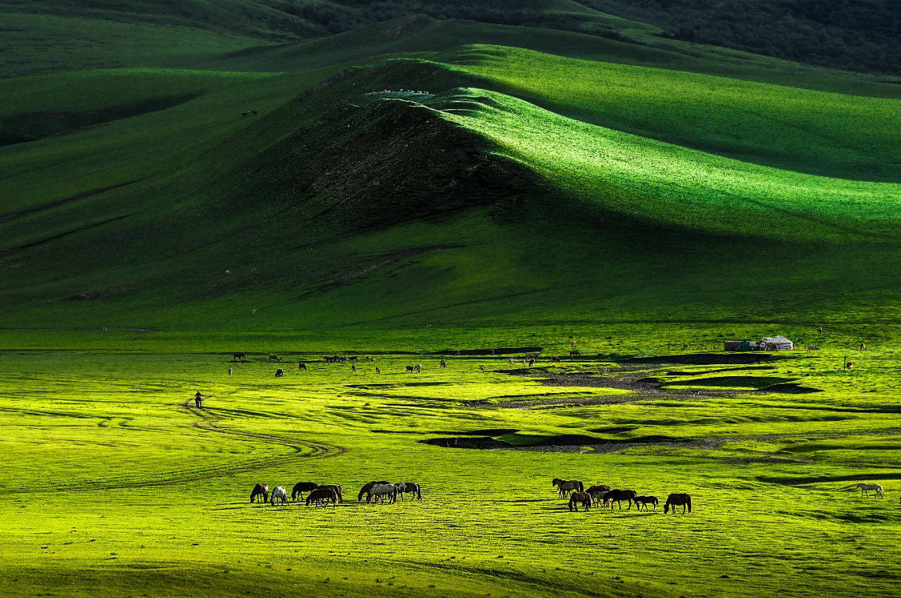 被誉为"内蒙古犹太"的赤峰,为何一身东北味儿?