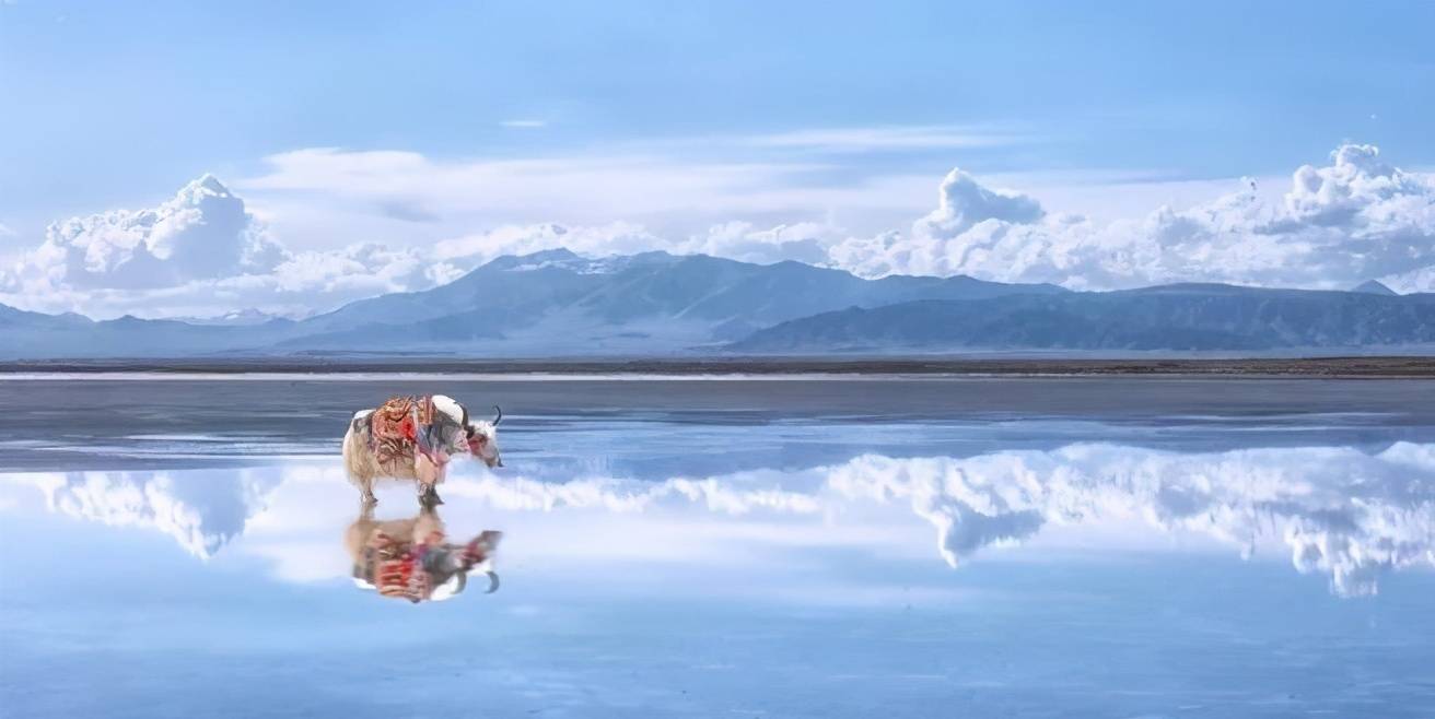 “天空之境”盐湖沉淀的只有盐和美景吗？绝对不止