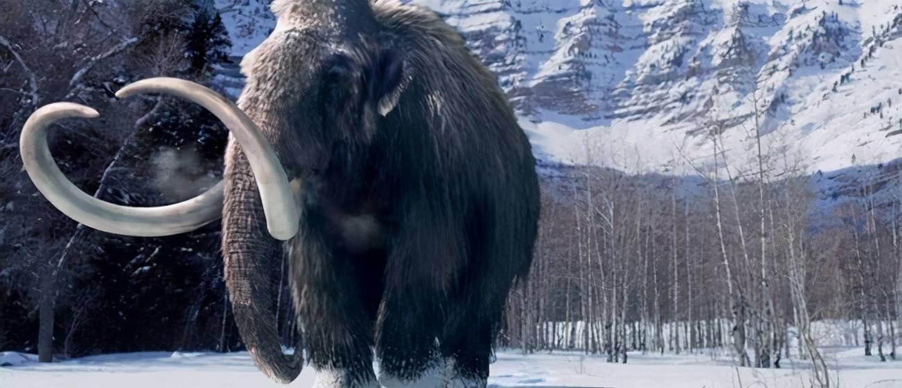 但是,一旦挖到一具猛犸象遗骸,就足可以让他们脱离苦海,仅仅是猛犸