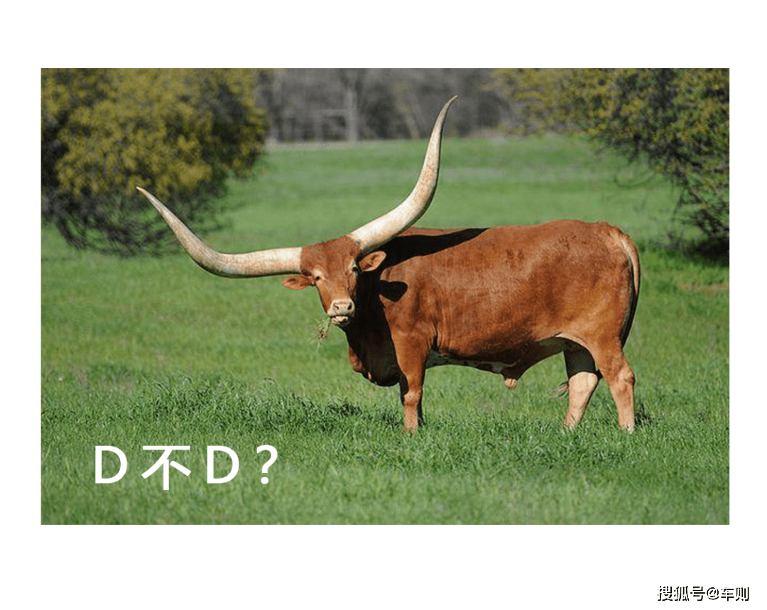 国产特斯拉的噩梦大众霸气崛起反攻试乘体验上汽大众id4x