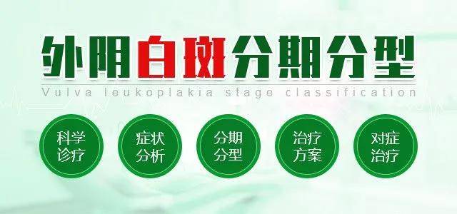 外阴白斑治疗费用