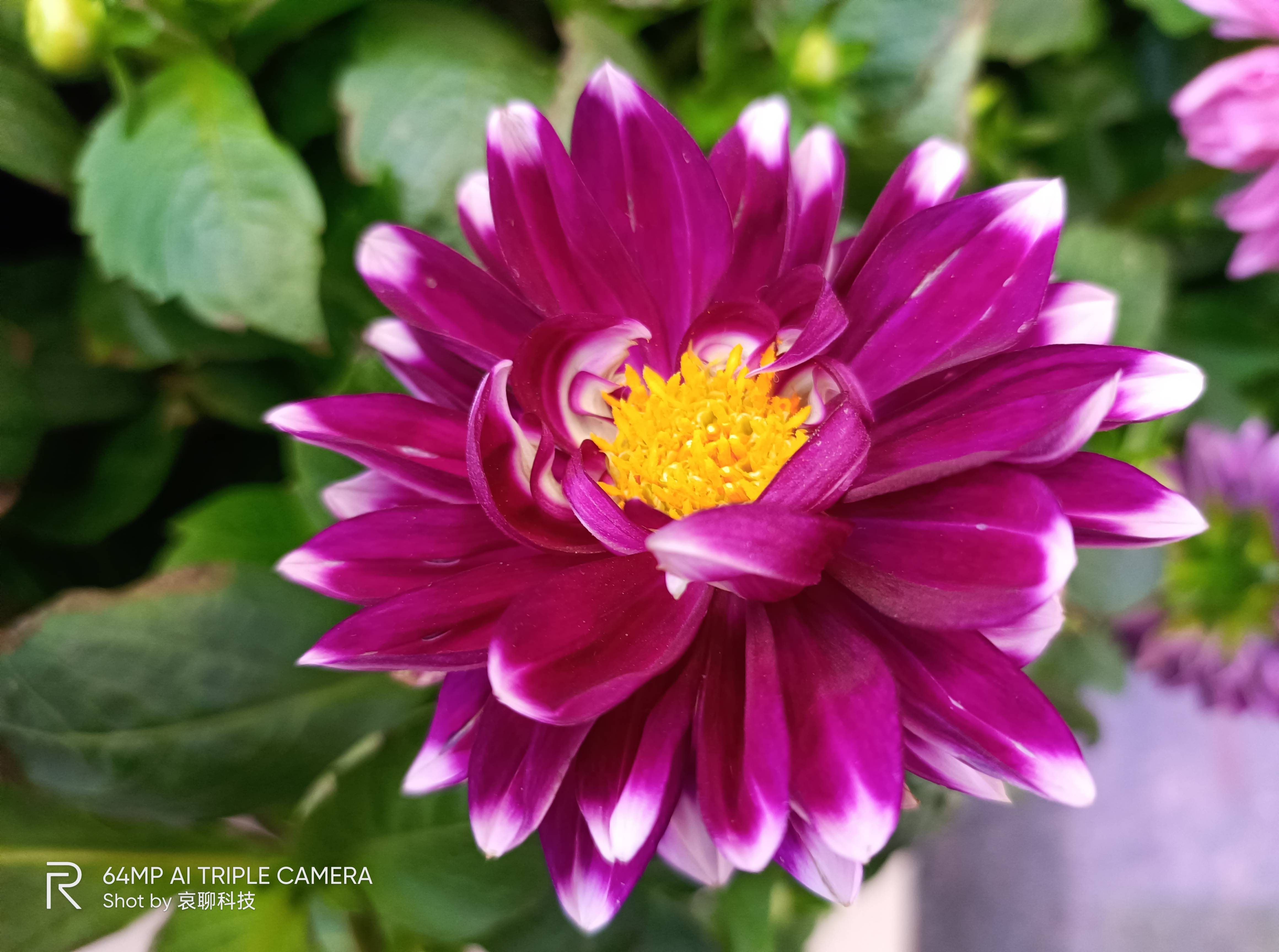 realme真我v15不服_模式