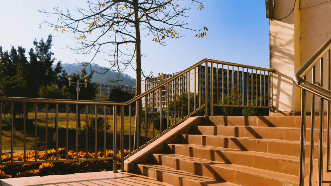 华南农业大学珠江学院2021年普通高校专升本拟招生专业