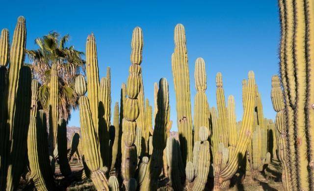 波兰人均gdp400万_波兰航空737-400