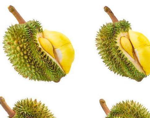金枕榴莲和猫山王哪个品种好吃 252e73d2cda44e5da38713ba1f97265d.jpeg