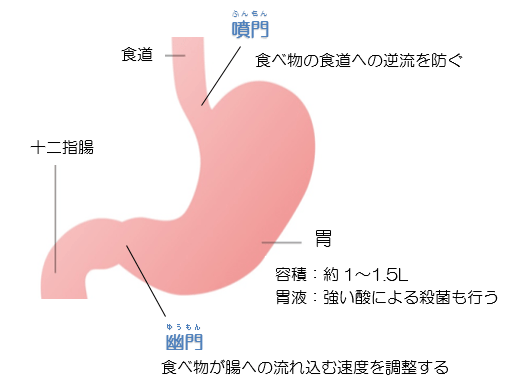 日本の胃癌／胃癌研究会編(著者)-