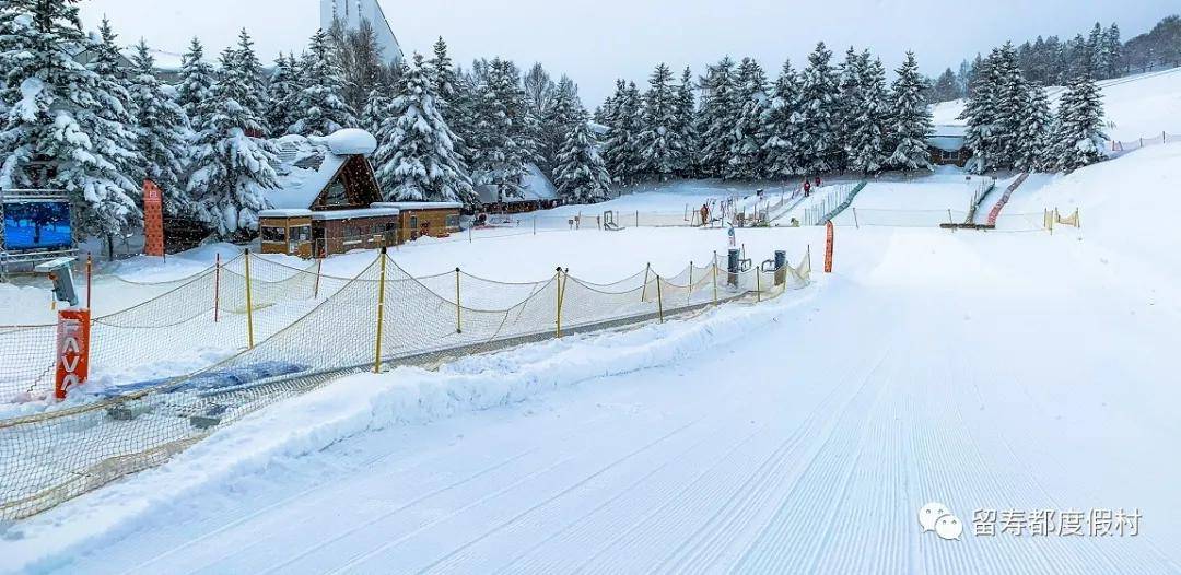 想在北海道学滑雪，留寿都度假村滑雪场已搭好台帮您实现滑雪首秀