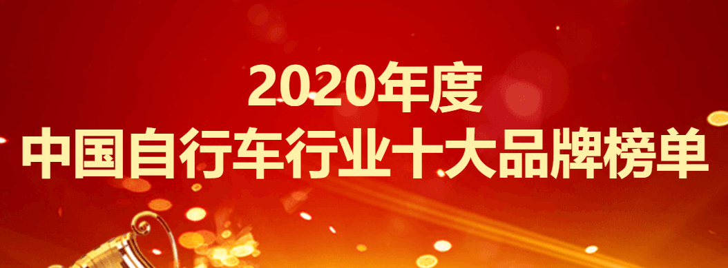 2020年十大专业排名_2020年度中国自行车行业十大品牌榜单