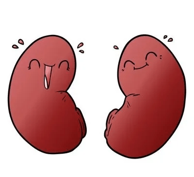 ①大量胆固醇:每100克羊腰子中,胆固醇含量高达354毫克!