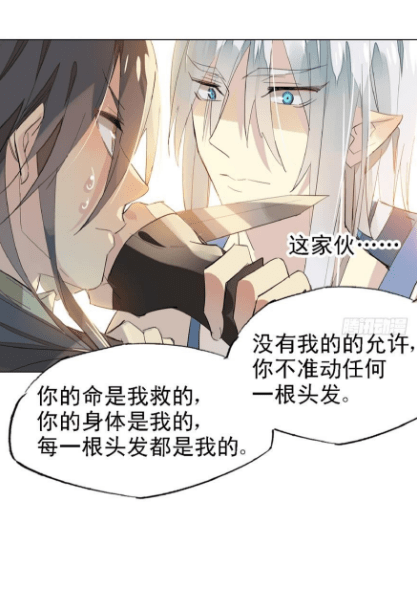 漫画《师父又在撩我》:师父对我好得过分,不会图我点什么吧?