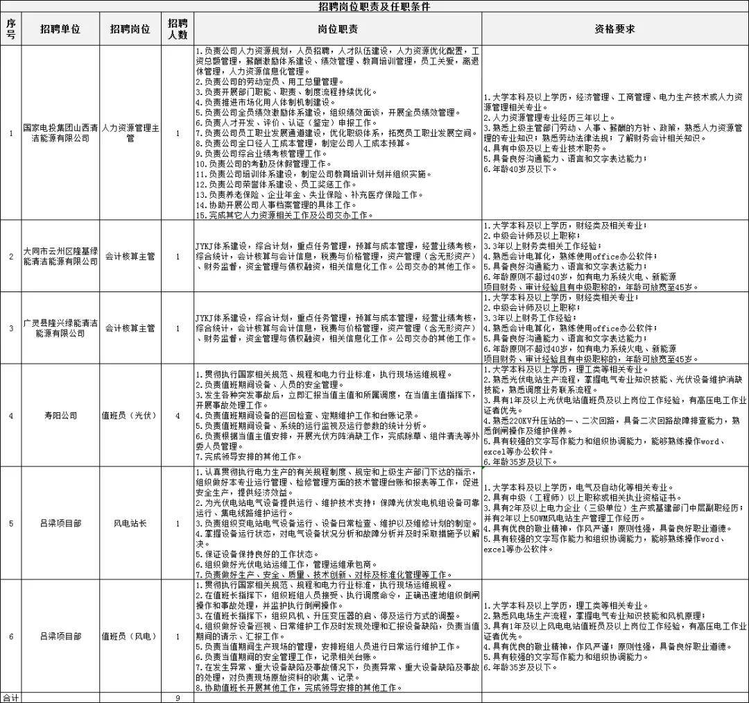 国电电力招聘_关于能源可持续发展,董事长和WBCSD的CEO说了啥(4)