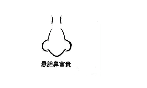 悬胆鼻图片示意图图片