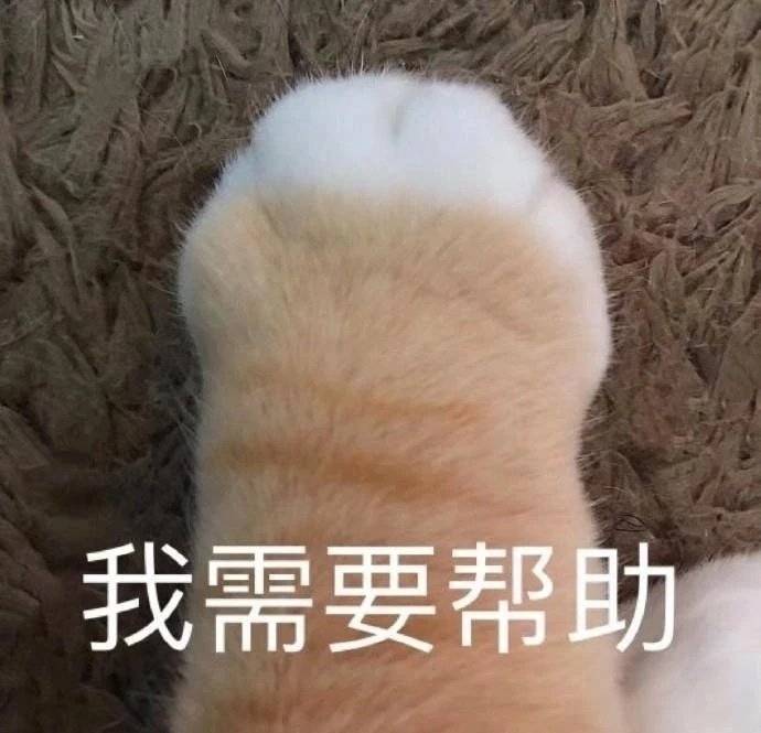 搞笑表情包