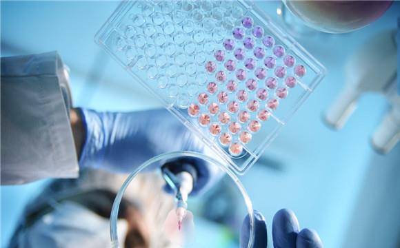 美国最近发生的病毒叫什么 8b18362edc8044a182d602de82022dea.jpeg