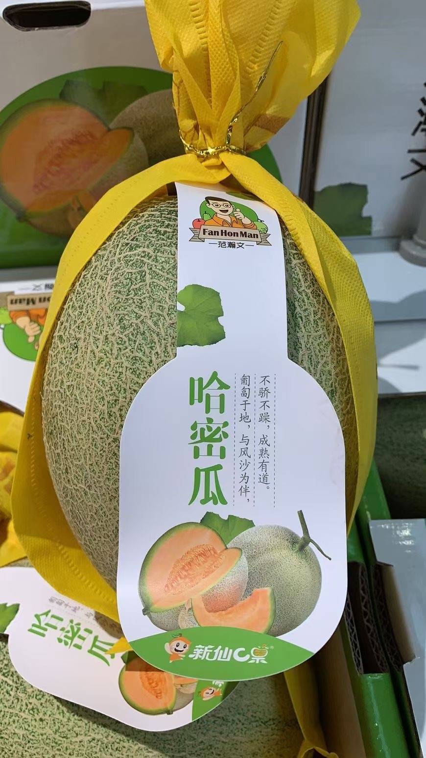 吃瓜人晋江(吃瓜人晋江专栏) 吃瓜人晋江(吃瓜人晋江专栏)