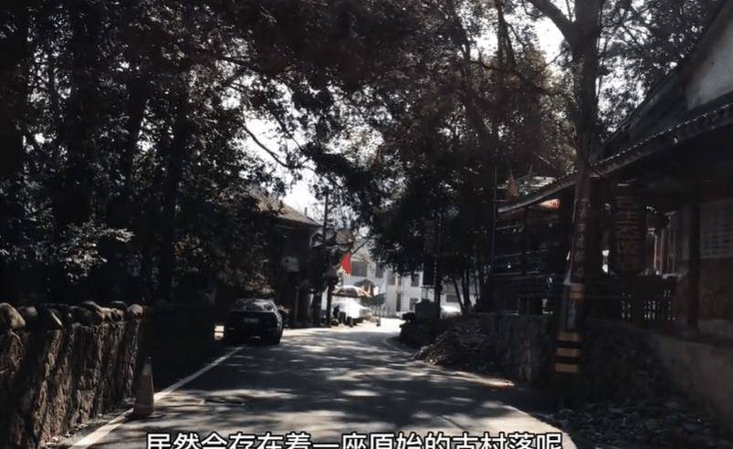 实拍：浙江一座古村落，老人平均活85岁，一种植物比黄金贵18倍