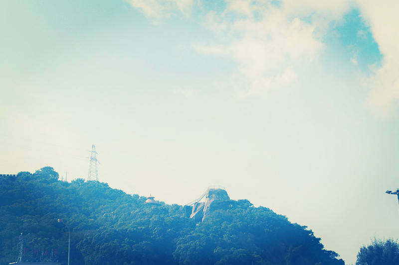 21寒假复习资料 高中英语必修1 选修8重点单词短语大汇总 Ignore