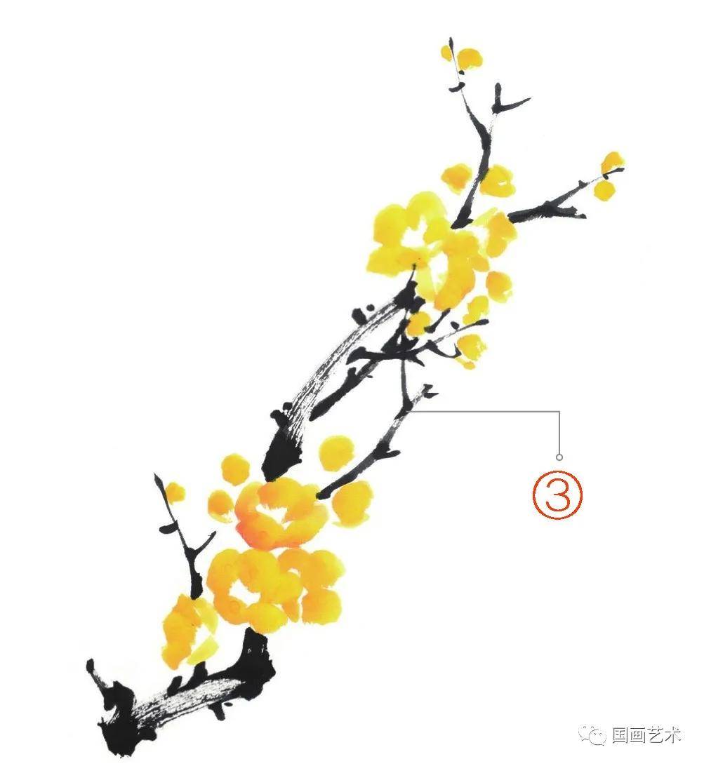 图文教程:白梅,红梅,腊梅写意画法示范