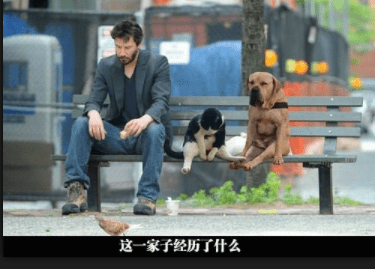 原创
开心一刻:昨晚在沙发上睡着了,醒来突然发现,眉毛不翼而飞了