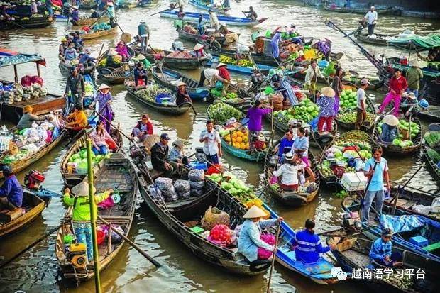 越南丐冷水上集市：芹苴市和九龙江三角洲的特色旅游景点