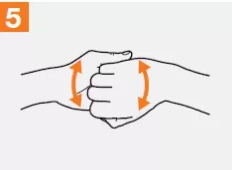 ④掌心相对,十指交叉,相互揉搓.