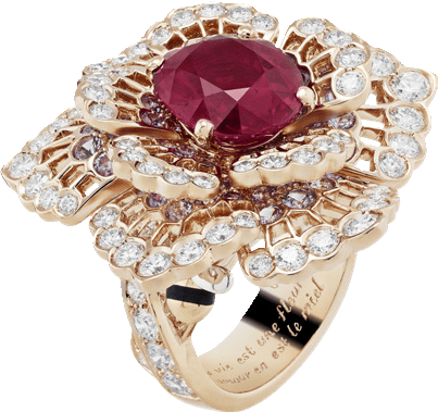 �����ƻ�����ű�ʱ����ʱ����ռ��Ϻ���Ļ