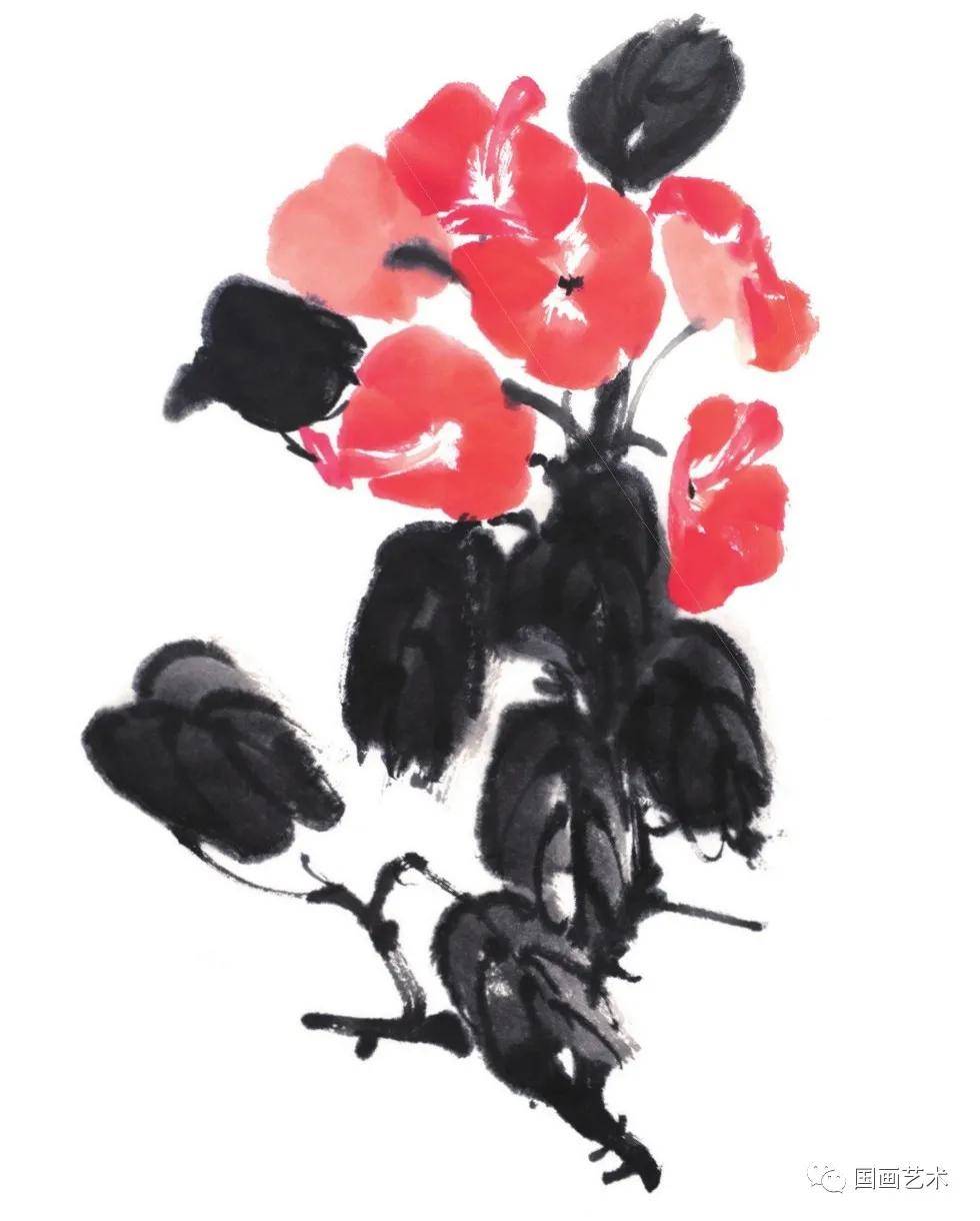 图文教程冬红炮仗花的写意画法示范