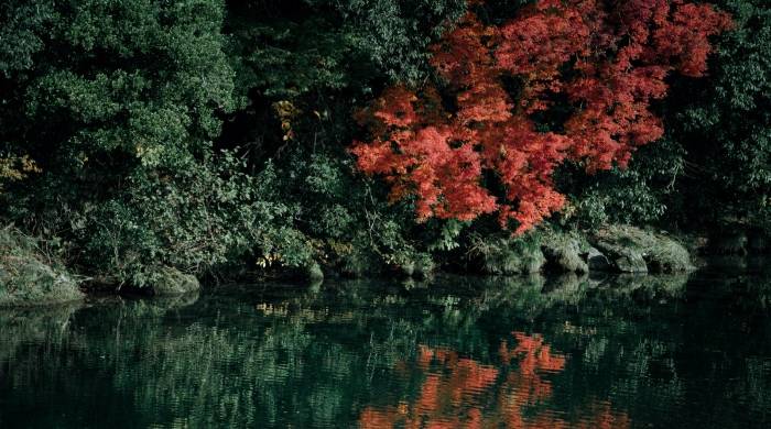 家电导购员迎来高光时刻：在推高卖优双线融合中重生-家电圈官网